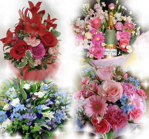 Blogweb01