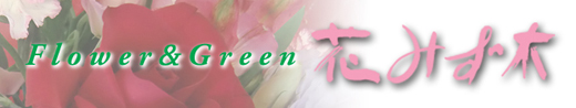 Hanamizukibanar2_2