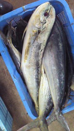 201108190804000