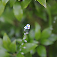 Dsc_0017_2